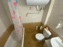 Miniaturka