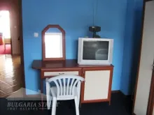 Miniaturka
