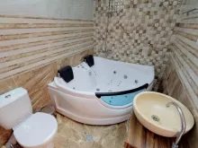 Miniaturka