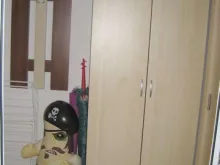Miniaturka