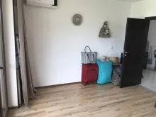 Miniaturka