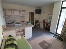 Miniaturka