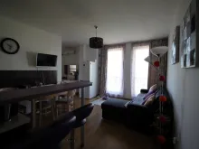 Miniaturka