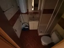 Miniaturka