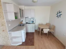 Miniaturka