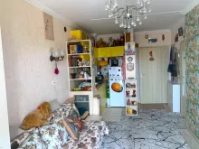 Miniaturka