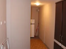 Miniaturka