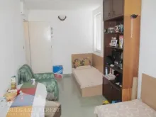 Miniaturka