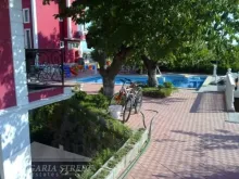 Miniaturka