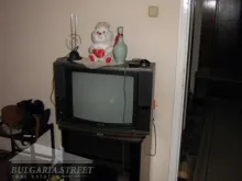 Miniaturka