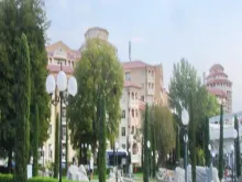 Miniaturka