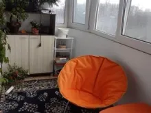 Miniaturka