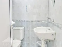Miniaturka