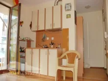Miniaturka