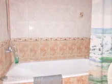 Miniaturka