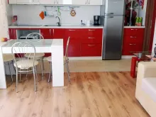 Miniaturka
