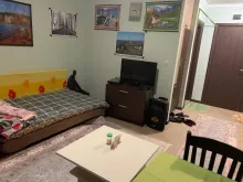 Miniaturka