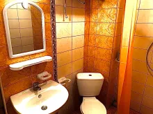 Miniaturka