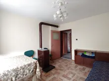 Miniaturka