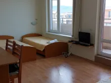 Miniaturka