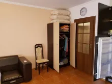 Miniaturka
