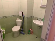 Miniaturka