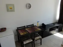 Miniaturka