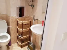 Miniaturka