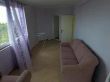 Miniaturka