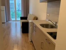 Miniaturka