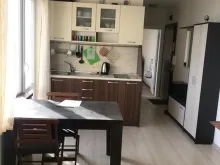 Miniaturka