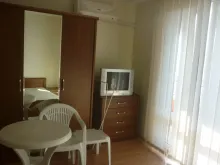Miniaturka
