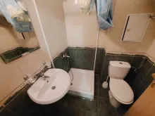 Miniaturka