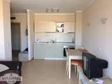 Miniaturka