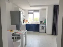 Miniaturka