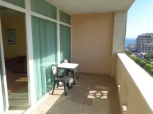 Miniaturka