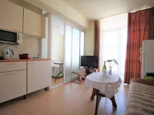 Miniaturka