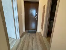 Miniaturka