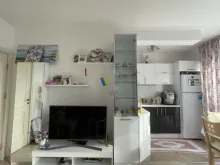 Miniaturka