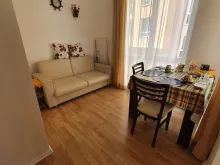 Miniaturka