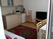 Miniaturka