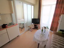 Miniaturka
