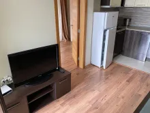 Miniaturka