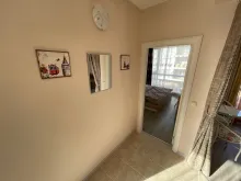 Miniaturka