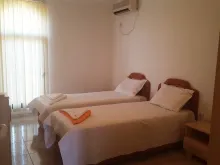 Miniaturka