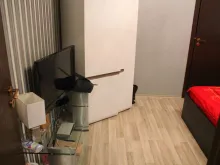 Miniaturka