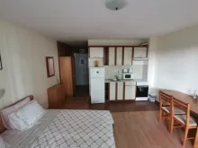 Miniaturka