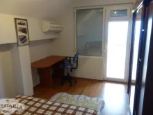 Miniaturka