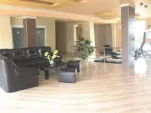 Miniaturka