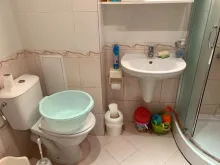 Miniaturka